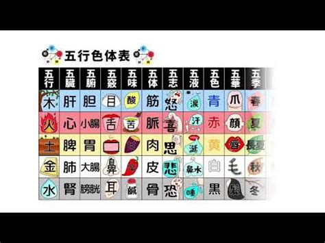 自己 五行 屬性|五行測試：你屬哪一行？